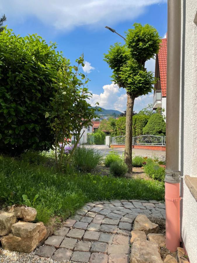 Ferienwohnung Wanderlust Klingenmünster Zewnętrze zdjęcie